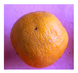 Citrus