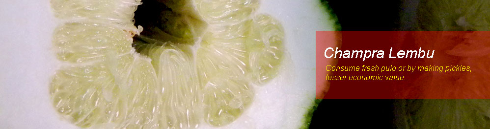 Slideshow Image 2